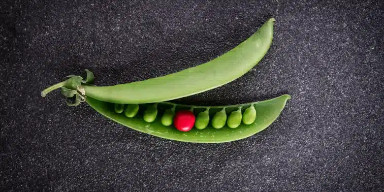 Red Bean Standing Out Amongst Green Beans - Smart Cow Marketing Web Design Croydon
